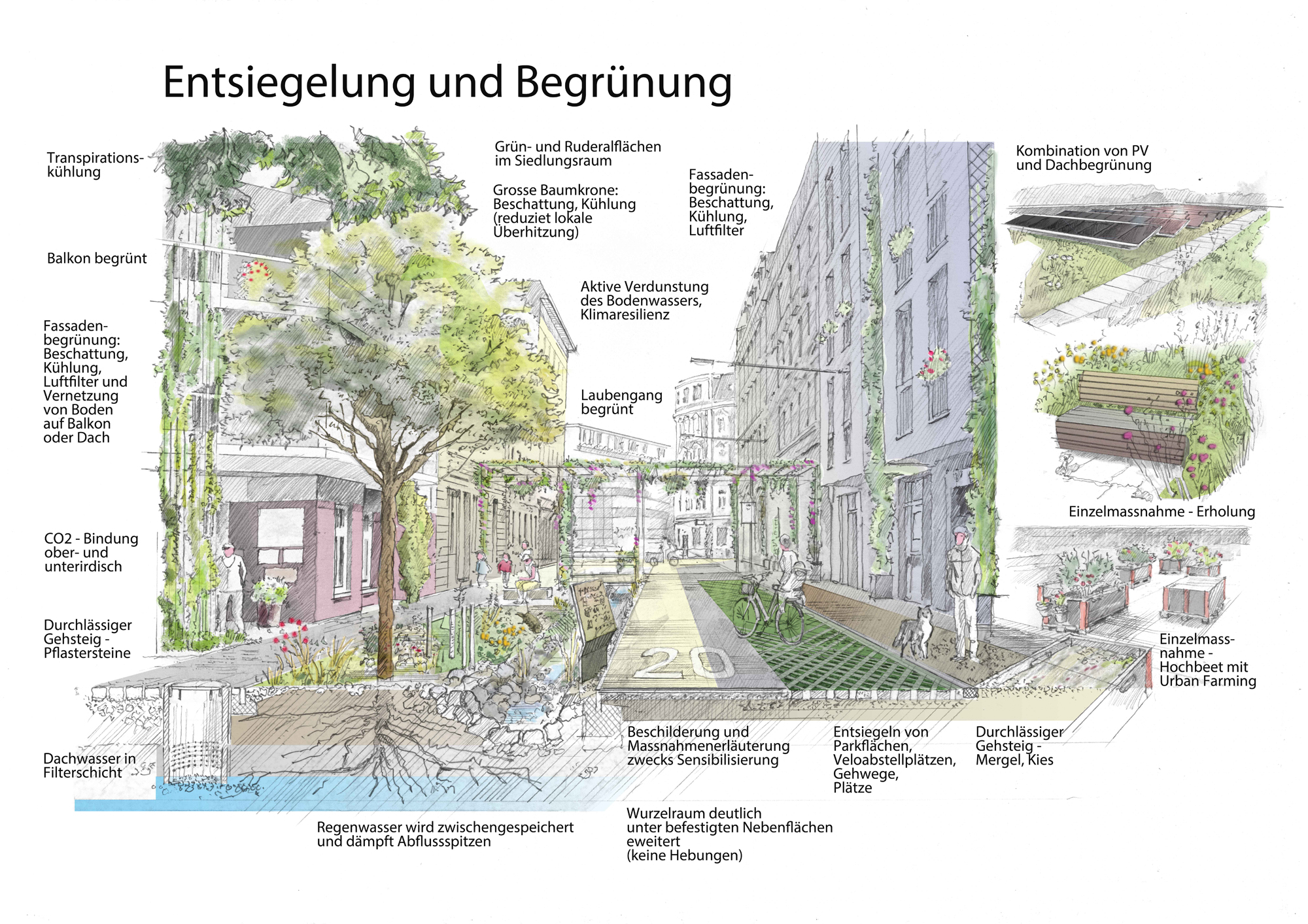 02 Entsiegelung und Begrnung Visual F mit Text 600 dpi A3 2 comp